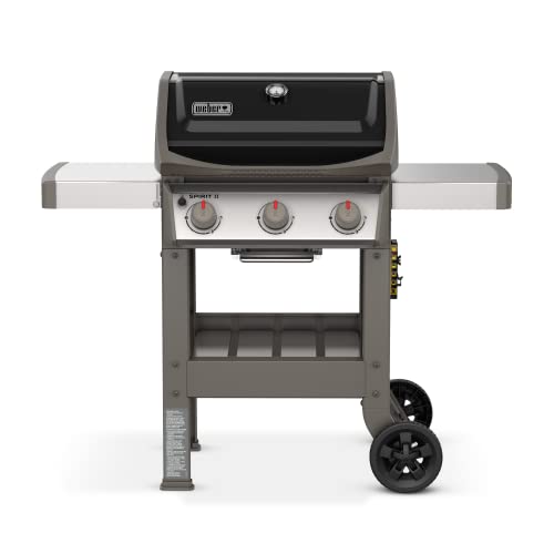The Best Propane Grills in 2024