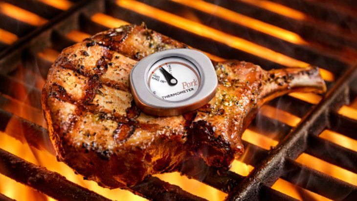 12 Best Grill Thermometers in 2024